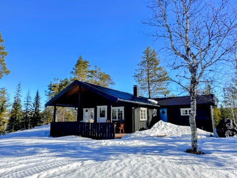 Bilde 1 av annonsen