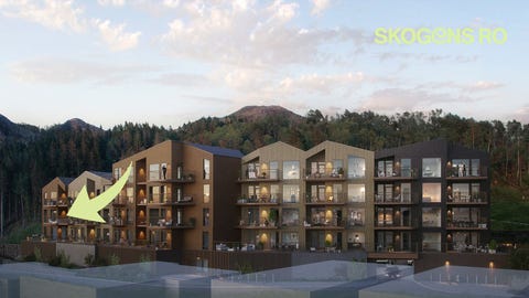 Bilde 2 av annonsen