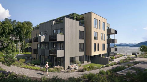 Bilde 2 av annonsen