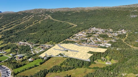 Bilde 1 av annonsen