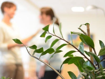 Sykehuset Telemark HF logo