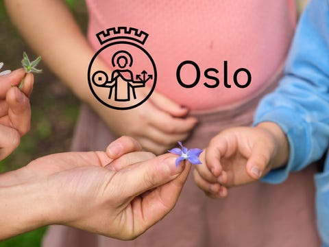 Oslo kommune logo