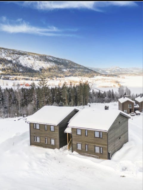 Bilde 1 av annonsen