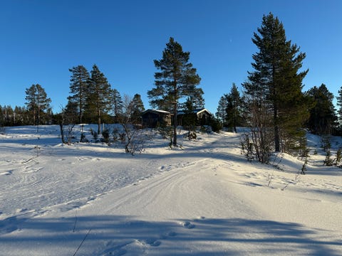 Bilde 1 av annonsen