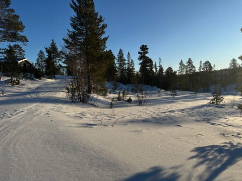 Bilde 2 av annonsen