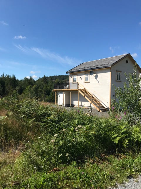 Bilde 1 av annonsen