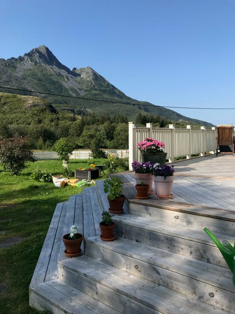 Bilde 1 av annonsen