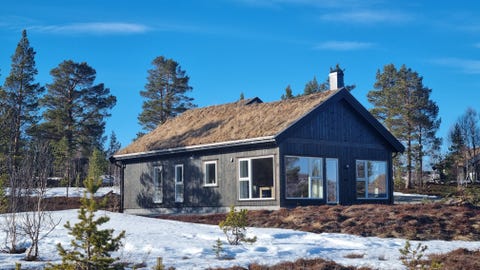 Bilde 2 av annonsen