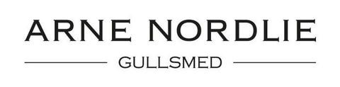 ARNE NORDLIE AS logo