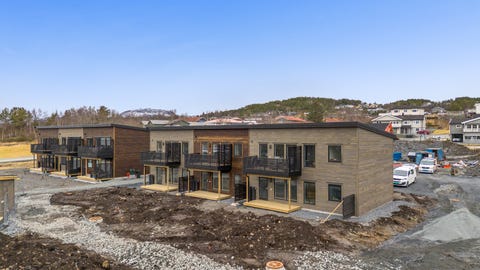 Bilde 2 av annonsen