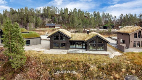 Bilde 1 av annonsen