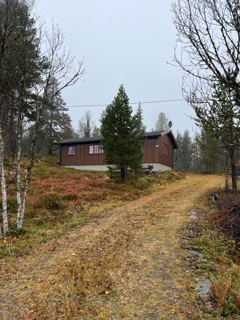 Bilde 1 av annonsen