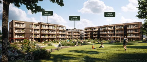 Bilde 1 av annonsen