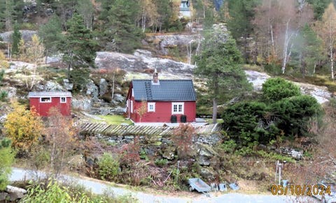 Bilde 1 av annonsen