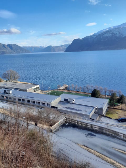 Bilde 1 av annonsen