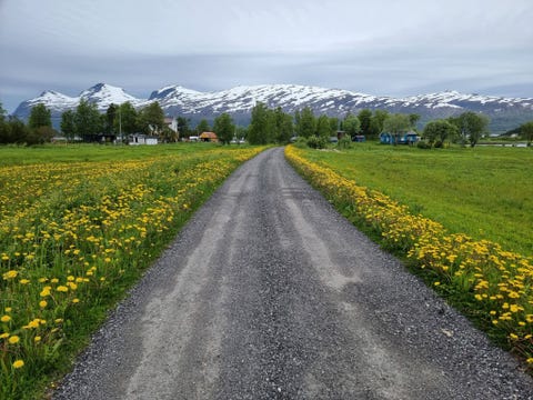 Bilde 1 av annonsen