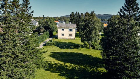 Bilde 1 av annonsen