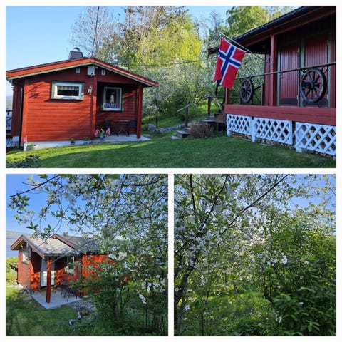 Bilde 1 av annonsen