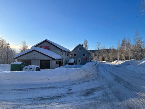 Bilde 1 av annonsen