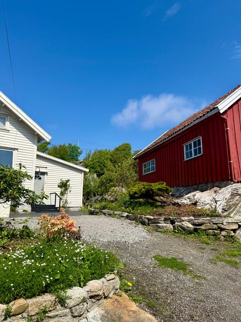 Bilde 1 av annonsen