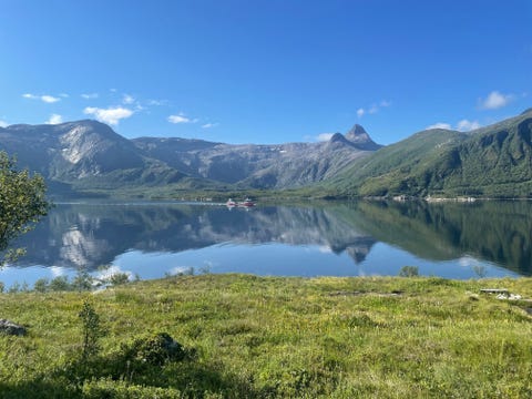 Bilde 1 av annonsen