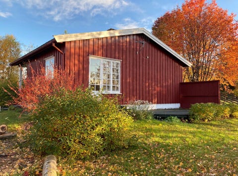 Bilde 2 av annonsen