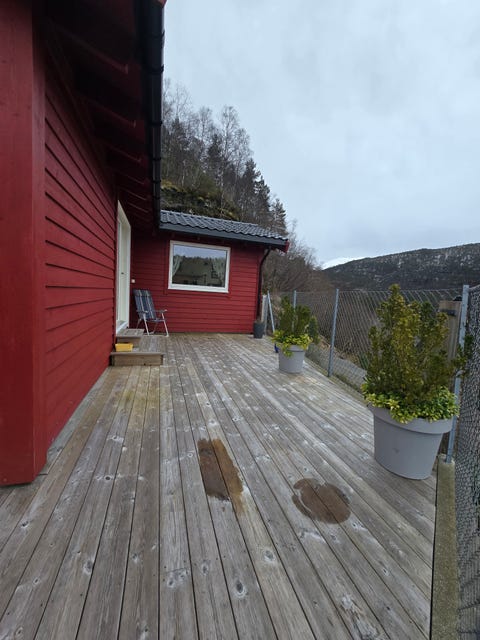 Bilde 2 av annonsen