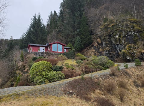 Bilde 1 av annonsen