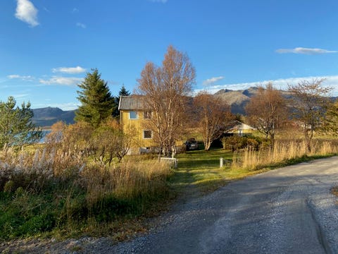Bilde 2 av annonsen
