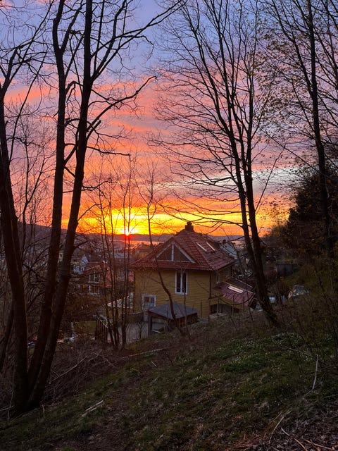 Bilde 2 av annonsen