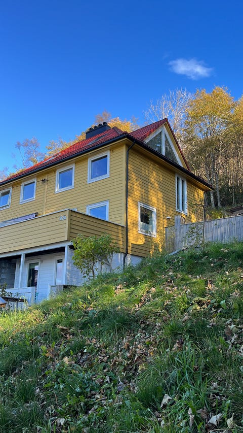 Bilde 1 av annonsen