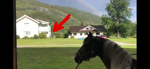 Bilde 2 av annonsen