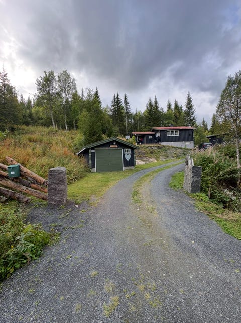 Bilde 1 av annonsen