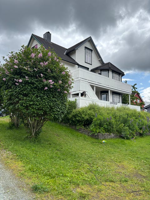 Bilde 1 av annonsen