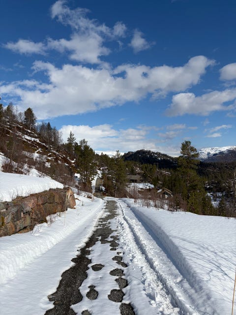 Bilde 2 av annonsen