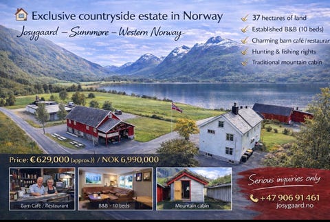 Bilde 1 av annonsen