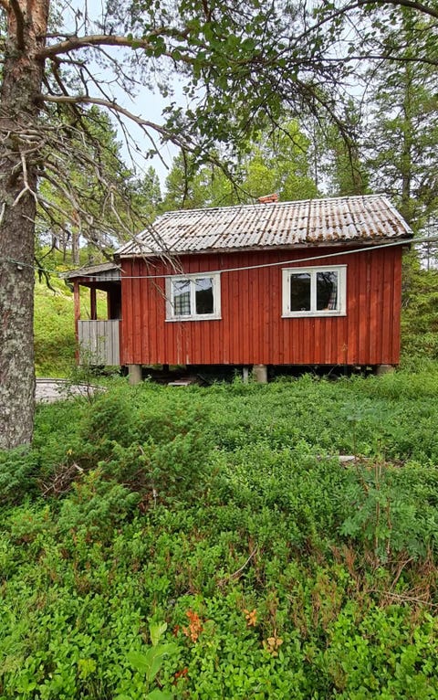 Bilde 1 av annonsen