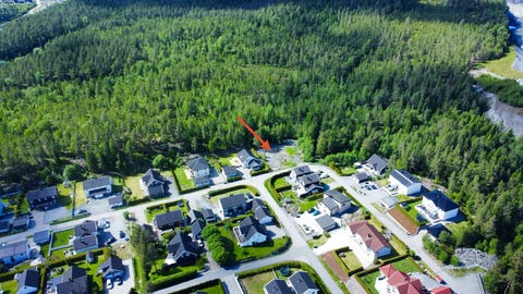 Bilde 1 av annonsen