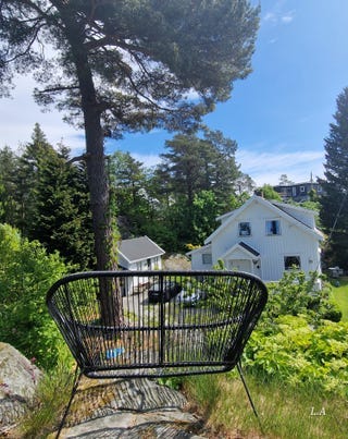 Bilde 2 av annonsen