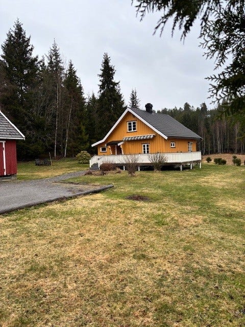 Bilde 1 av annonsen