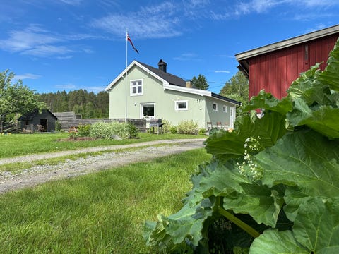 Bilde 1 av annonsen
