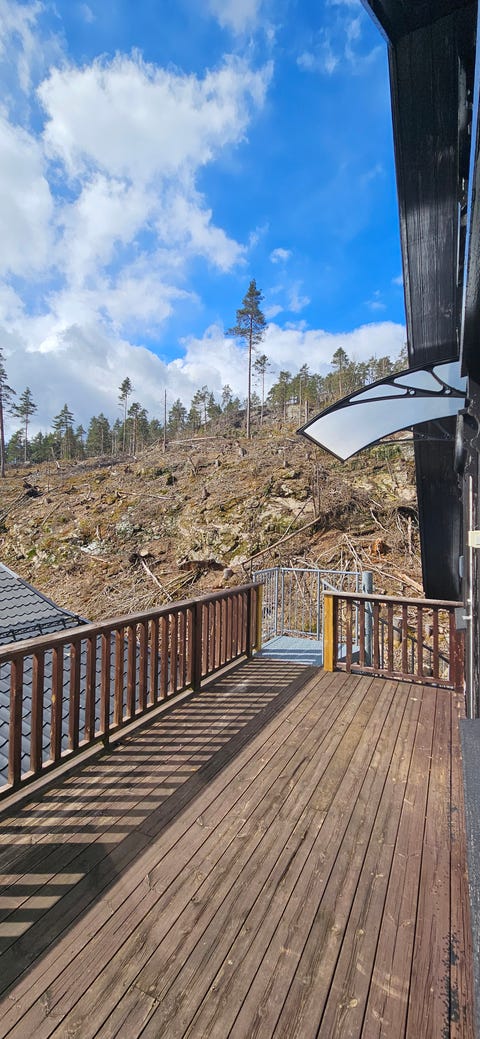 Bilde 2 av annonsen