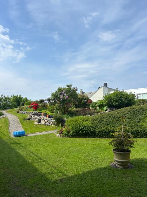 Bilde 2 av annonsen