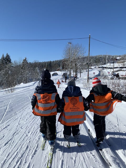 Norlandia Skistua Barnehage logo