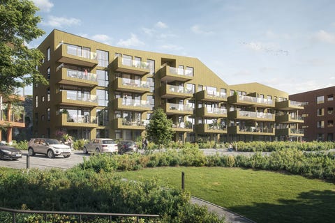 Bilde 1 av annonsen