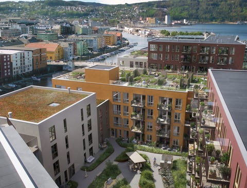Bilde 1 av annonsen