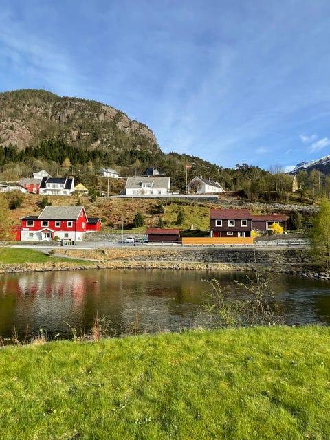 Bilde 1 av annonsen