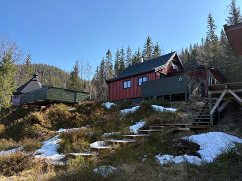 Bilde 1 av annonsen
