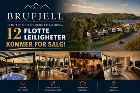Bilde 1 av annonsen