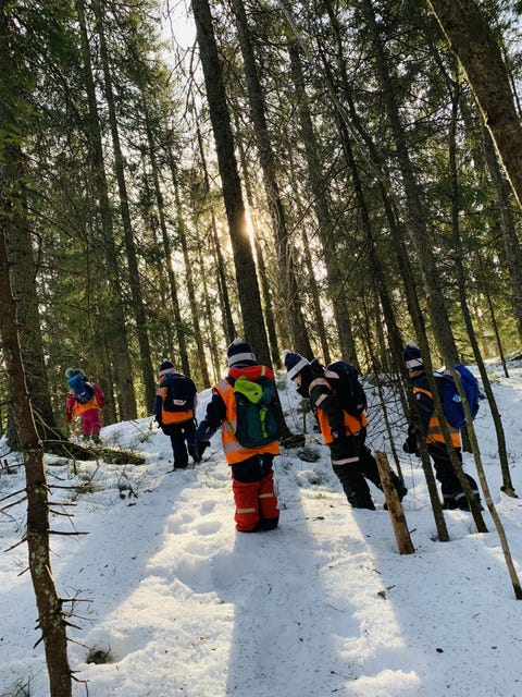 Norlandia Skistua Barnehage logo